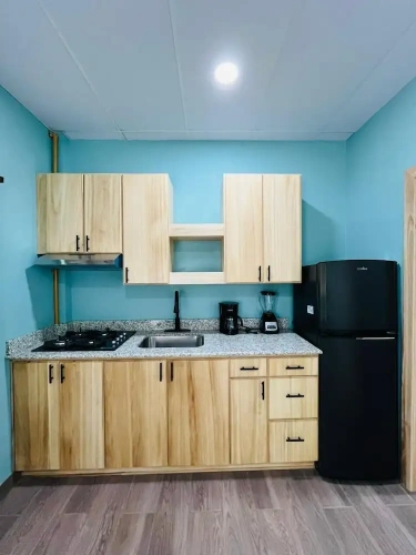 1 Bedroom Standard Apartment