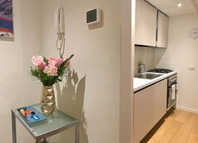 1 Bedroom Apartment with city view