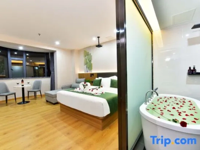 Standard Double room with balcony and with city view