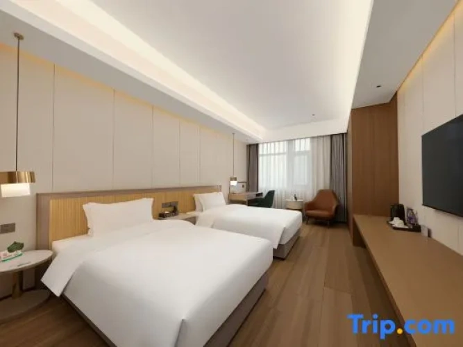 Standard Twin room with city view
