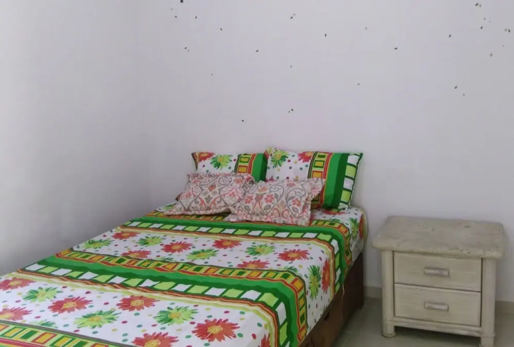 La Casa del Cactus