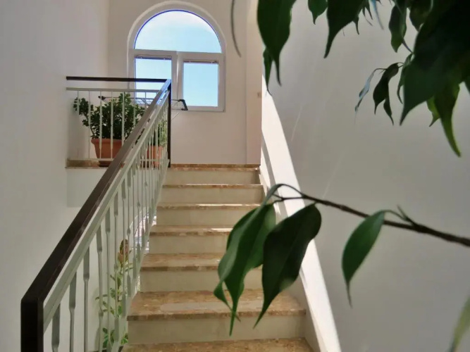 Apartment Nemira