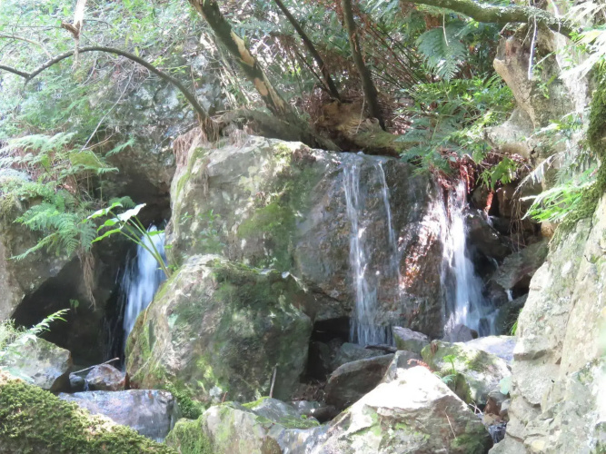 Swartberg Backpackers