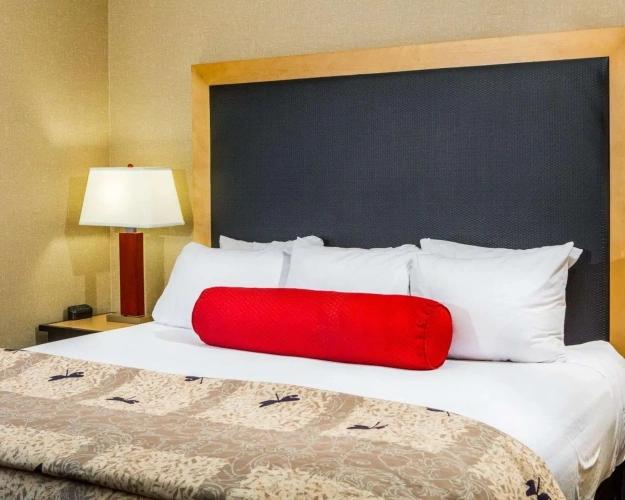 1 Bedroom Suite