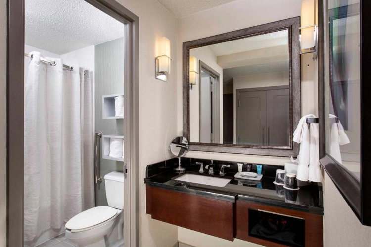 Embassy Suites by Hilton Atlanta Perimeter Center photo 10