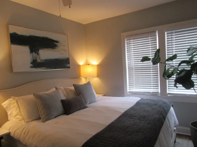 Luxury Apartment
