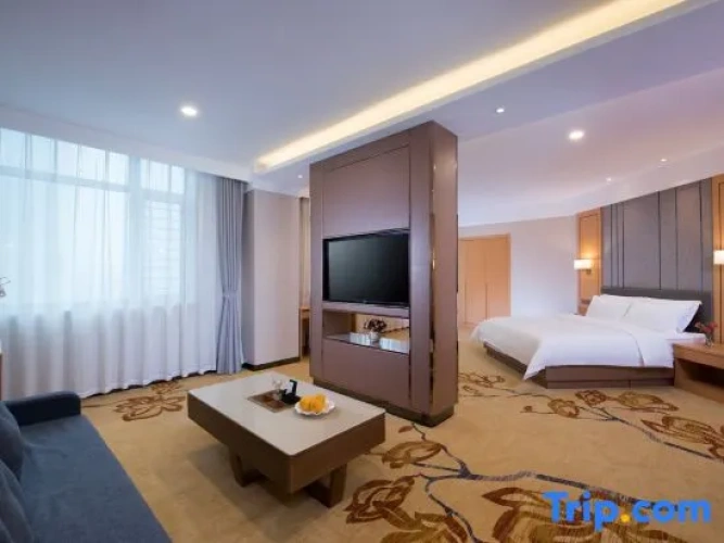 Business Single Suite