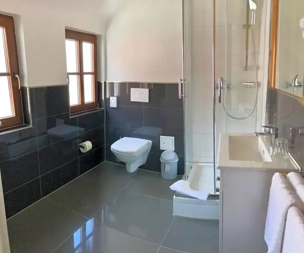 Deluxe Single room