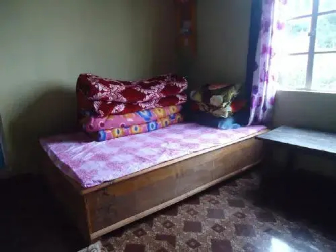 Vamoose Kunga Delek