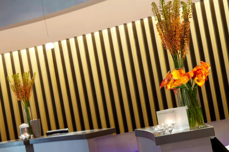 Renaissance St. Louis Airport Hotel photo 13