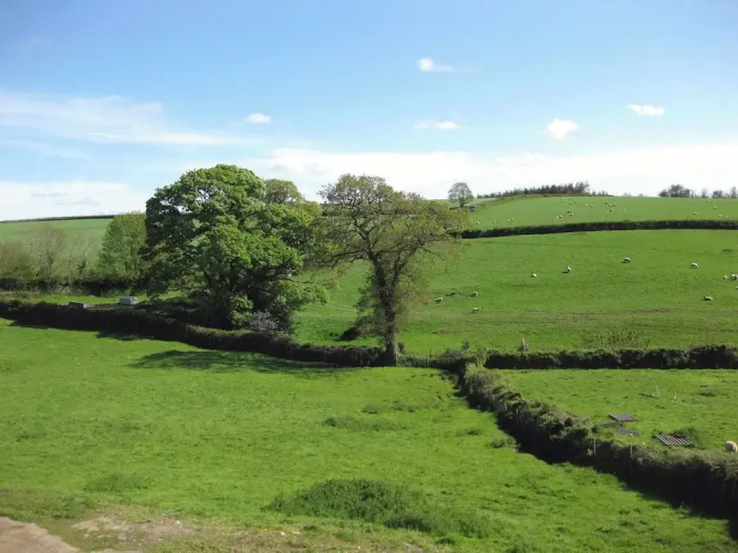 Haye Barton Farm