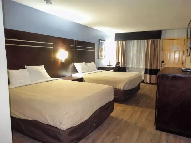 Standard Double room