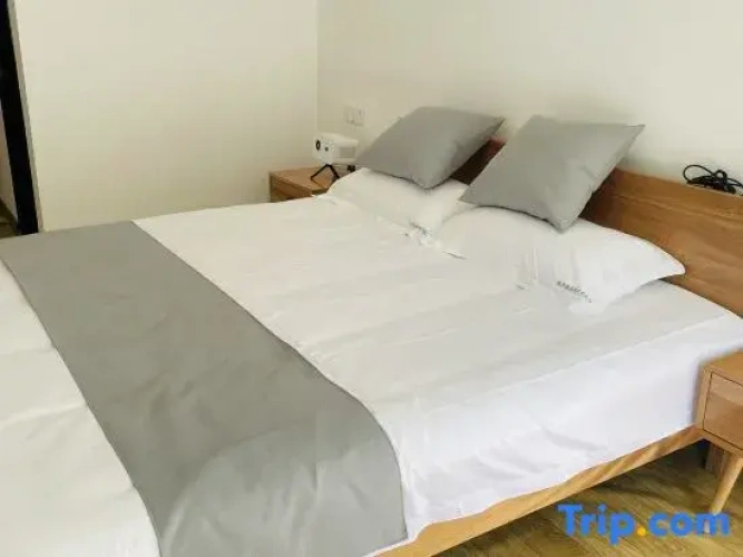 Standard Twin Family room