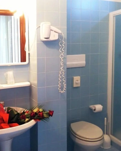 Standard Single room with balcony and with land view