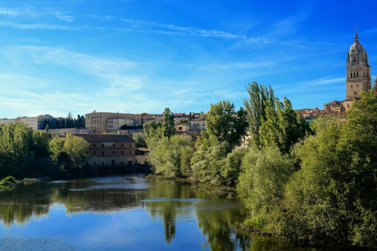 Casino Del Tormes photo 17