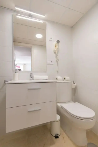 Apartamento Giralda Central Suite