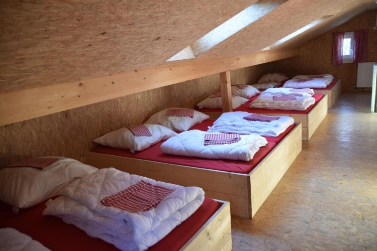 Bed in Dorm