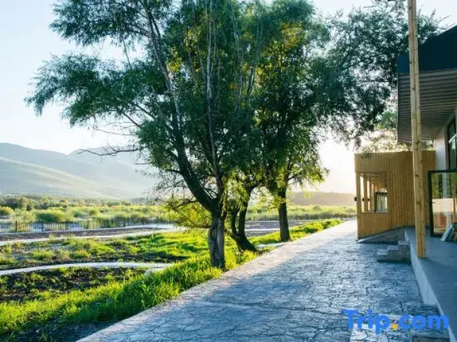 SHEJING Homestay
