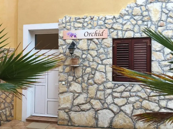3 Bedrooms Apartment