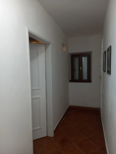 Apartment Katarina