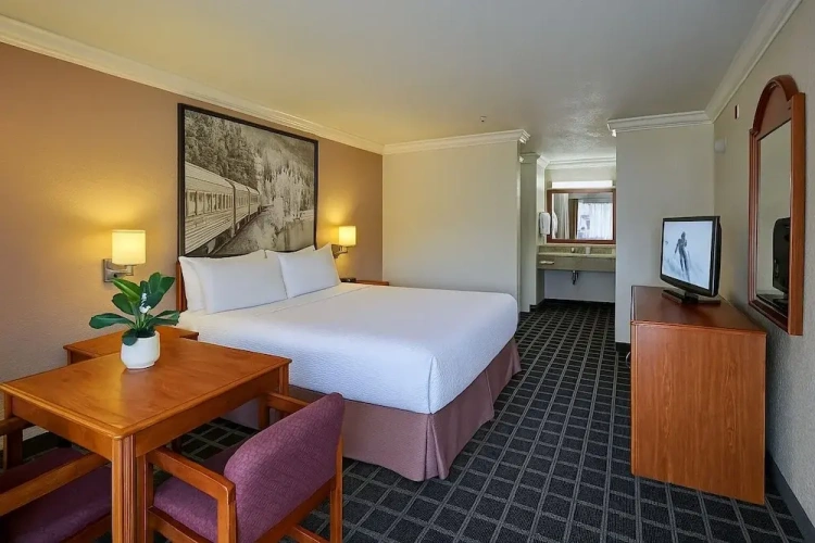 Executive Double room with garden view