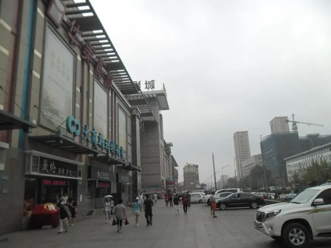 Flowers Blooming In Dalian