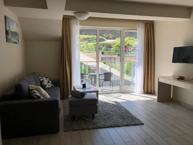 1 Bedroom Apartment