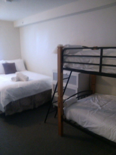 Painted Turtle Guesthouse (Hostel)