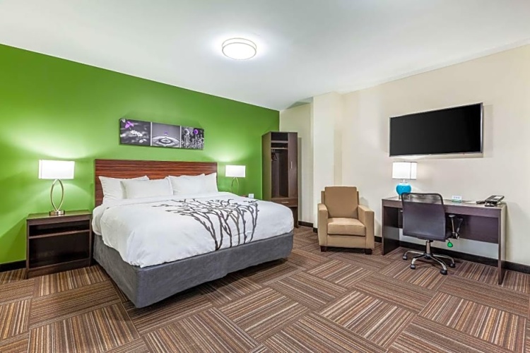 1 Bedroom Suite