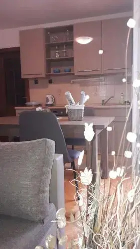 Apartments Mihael and Melani