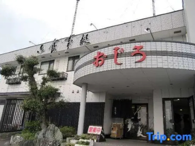 Business Hotel Ojiro