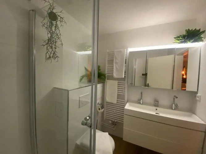 1 Bedroom Apartment
