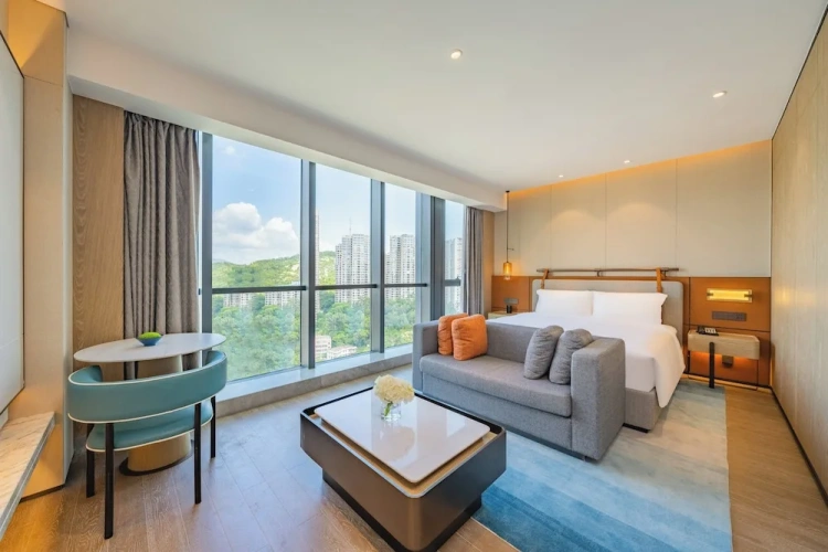 Premium Double room with city view