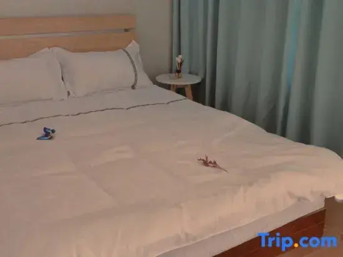 The B&B