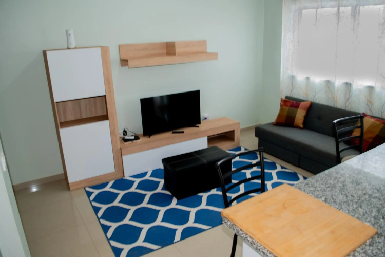 Comfortable cozy apartment