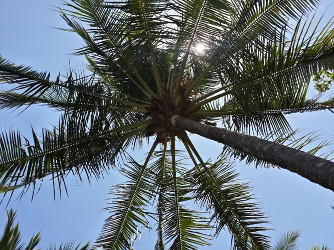 The Palms by Lost Beach Vacations
