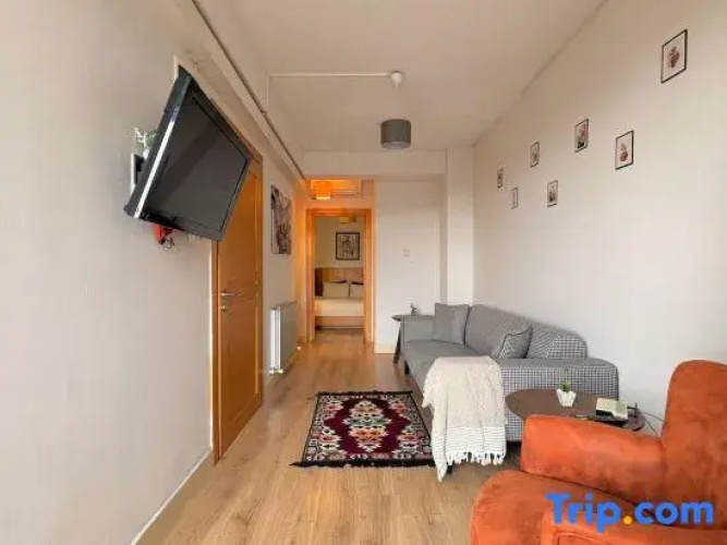 Taksim Square-1BR Rooftop Deluxe Suite 07