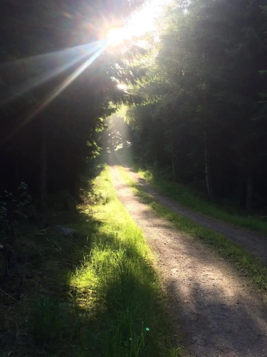 Swedish Idyll