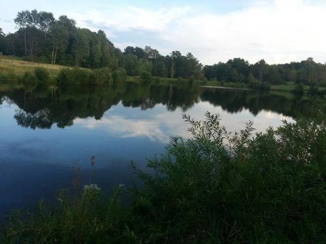 Tentrr - Sean Billy Pond Hideaway