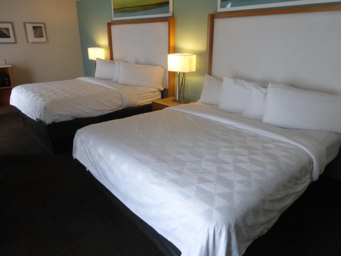 Superior Quadruple Suite