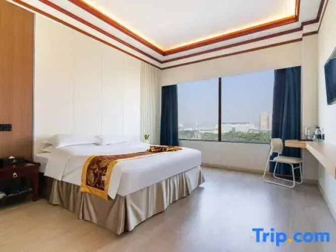 Standard Double room with city view