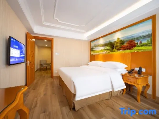 Standard Suite