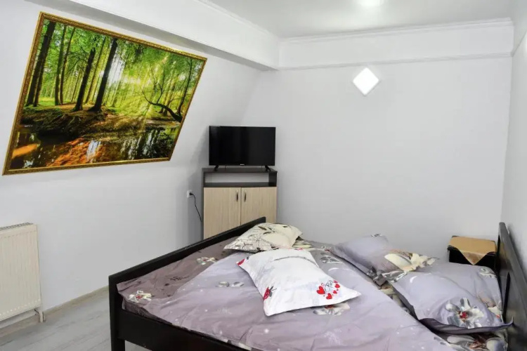 Hostel Geas 1