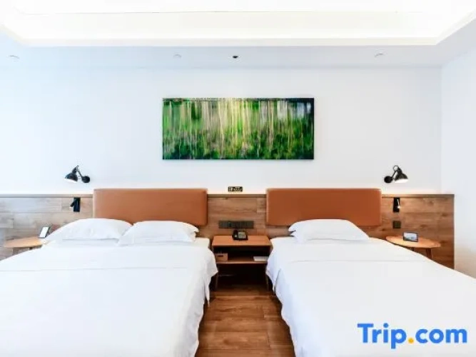 Standard Twin Family room
