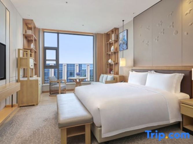 Standard Double room with courtyard view