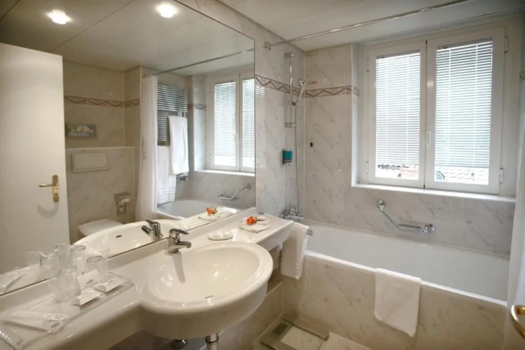 Standard Twin room with balcony and with lake view