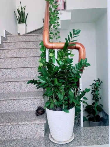 Private studio in hidden gem