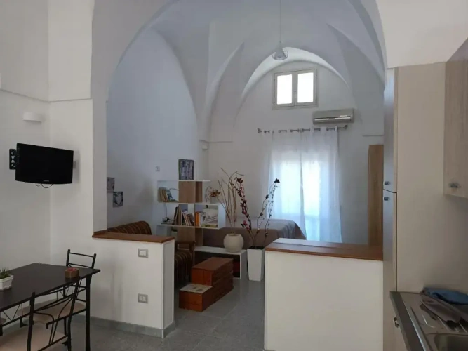 Standard Apartment