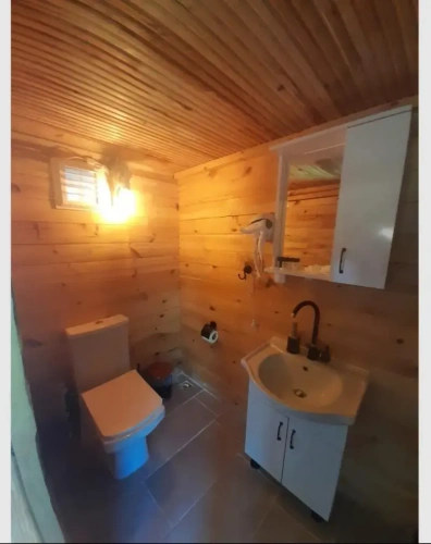 Standard Bungalow