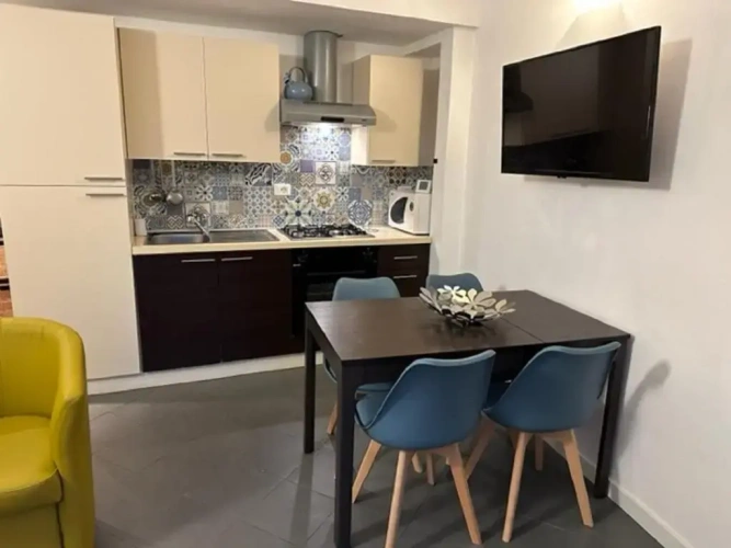 Basement Apartment